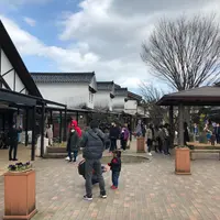 月うさぎの里の写真・動画_image_734880