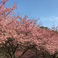 臼井城址の写真・動画_image_737642