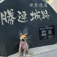 勝連城跡の写真・動画_image_739478