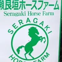 瀬良垣ホースファームの写真・動画_image_739868