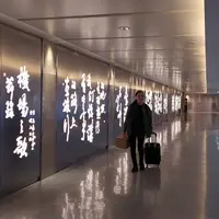 台湾桃園国際機場（Taiwan Taoyuan International Airport）の写真・動画_image_740251