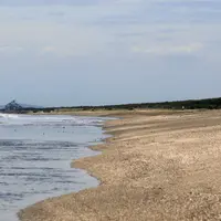 富津海岸潮干狩の写真・動画_image_742159