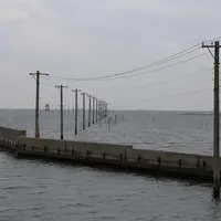 牛込海岸の写真・動画_image_742160