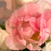 池袋駅の写真・動画_image_745915