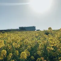 あわじ花さじきの写真・動画_image_746779
