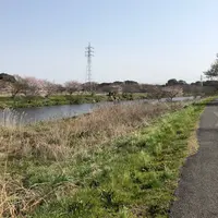 花見川サイクリングロードの写真・動画_image_747074