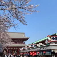 仲見世商店街の写真・動画_image_748809