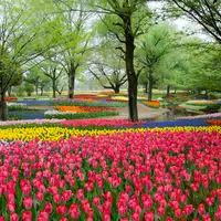 国営昭和記念公園の写真・動画_image_748869