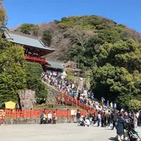 鶴岡八幡宮の写真・動画_image_749733