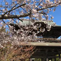 建長寺の写真・動画_image_749734