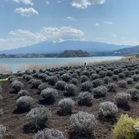 河口湖自然生活館の写真・動画_image_750560