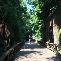 猿島の写真・動画_image_751543