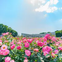 神代植物公園の写真・動画_image_751552