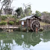 鍋島松濤公園の写真・動画_image_752234