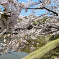 総合公園バンブージョイハイランドの写真・動画_image_752829