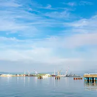 函館港 豊川埠頭の写真・動画_image_753597