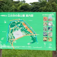 江古田の森公園の写真・動画_image_753797