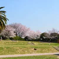 聚楽園公園 キャンプ場の写真・動画_image_755176