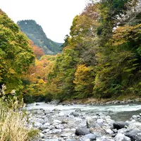 日原渓流釣場の写真・動画_image_755332