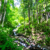 水根沢キャンプ場の写真・動画_image_755333