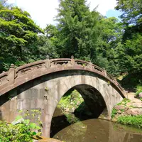 小石川後楽園の写真・動画_image_755696