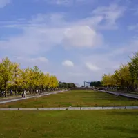 国営昭和記念公園 バーベキューガーデンの写真・動画_image_755717