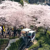 飛鳥山公園の写真・動画_image_756595