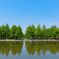 舎人公園の写真・動画_image_756597