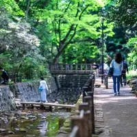 等々力渓谷公園の写真・動画_image_757091