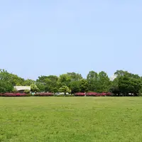 平和の森公園の写真・動画_image_757093