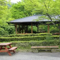 久万高原ふるさと旅行村の写真・動画_image_759724