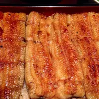 野田岩 麻布飯倉本店の写真・動画_image_759748