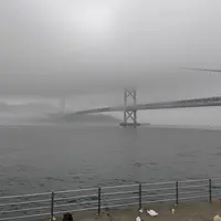 舞子公園の写真・動画_image_760353