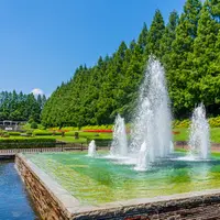県立相模原公園の写真・動画_image_760891