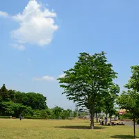 玄海田公園の写真・動画_image_760897