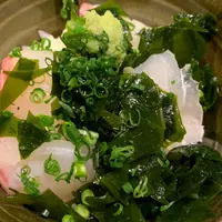 鯛樹の写真・動画_image_761106