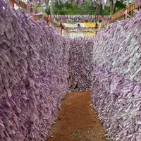石浦神社の写真・動画_image_762361
