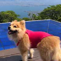 びわ湖テラス THE Biwako Terraceの写真・動画_image_762889