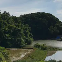 石川県森林公園 三国山キャンプ場の写真・動画_image_764556