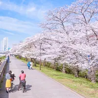 隅田公園の写真・動画_image_767563