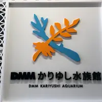 DMMかりゆし水族館の写真・動画_image_767806