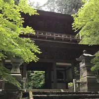 大雄山最乗寺の写真・動画_image_767905