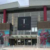 Tギャラリア 沖縄 by DFSの写真・動画_image_768677