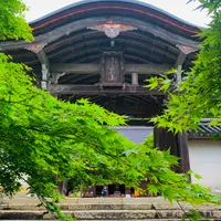 二尊院の写真・動画_image_771180