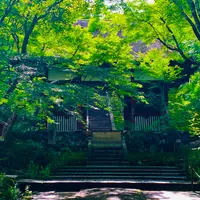 常寂光寺の写真・動画_image_771188