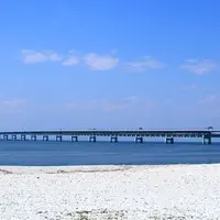 泉南マーブルビーチの写真・動画_image_774219