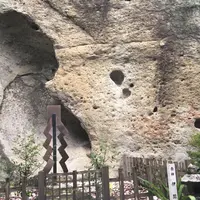 花の窟神社の写真・動画_image_774375