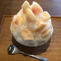 かき氷 百笑の写真・動画_image_774632