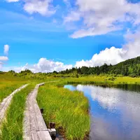 鬼怒沼の写真・動画_image_776255