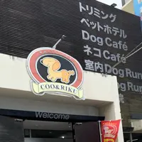 ペットショップCoo&RIKU 沖縄浦添店の写真・動画_image_777588